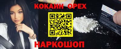 прущие грибы Гусиноозёрск