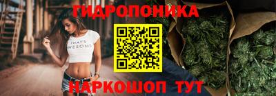 прущие грибы Гусиноозёрск