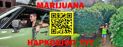 прущие грибы Гусиноозёрск