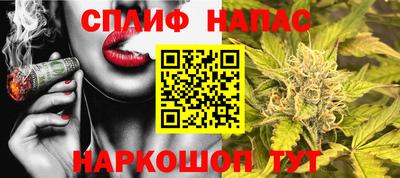 прущие грибы Гусиноозёрск
