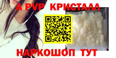 прущие грибы Гусиноозёрск