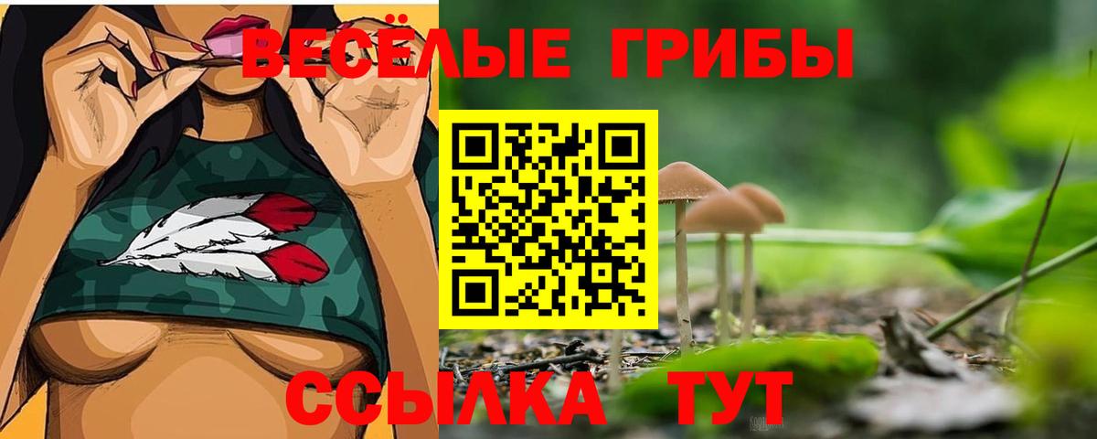 Псилоцибиновые грибы GOLDEN TEACHER  закладка  Узловая  Вход с VPN 