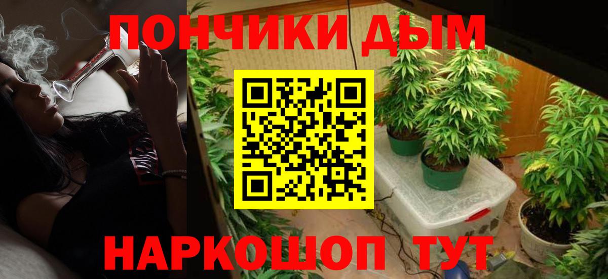 Бошки марихуана Amnesia  Марихуана сатива  Канабис гибрид  Вход с VPN  Узловая 
